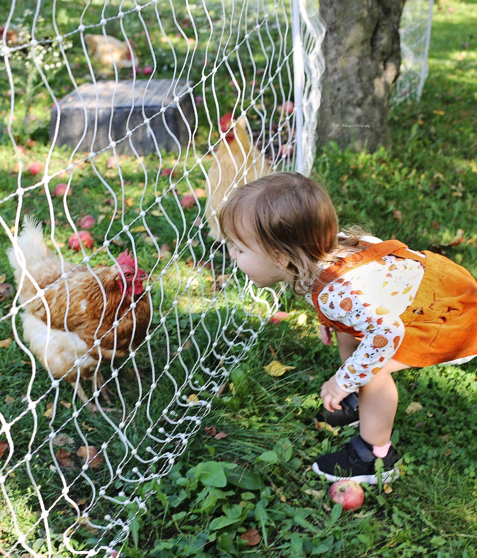 Kind mit Huhn 