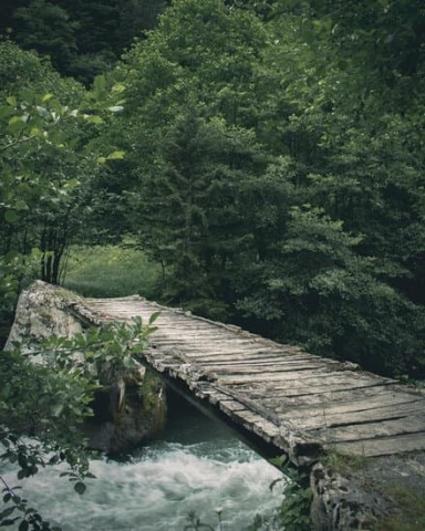 Brücke im Wald - Bild von Canva kostenlos